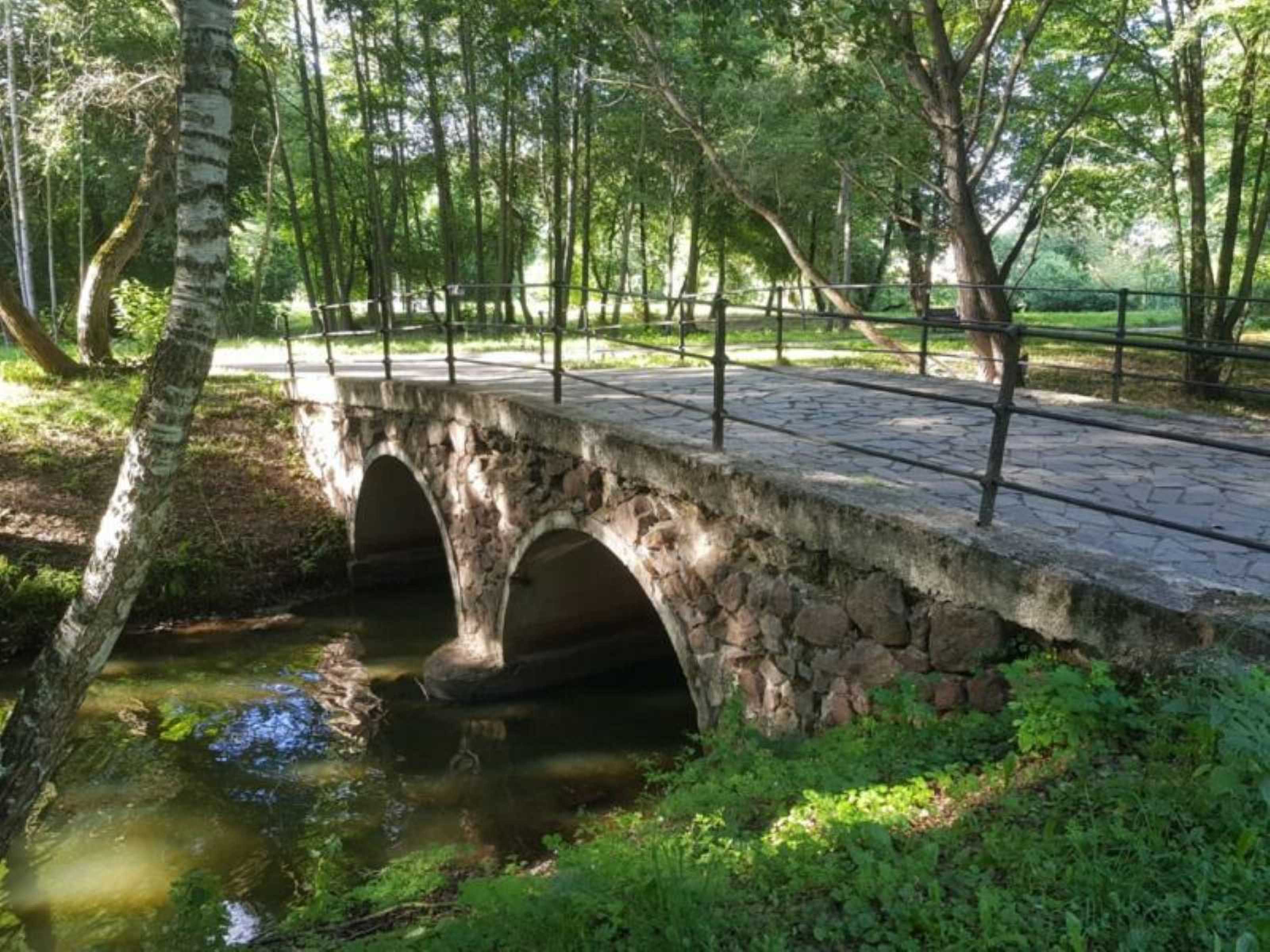 Прогулка с друзьями по парку