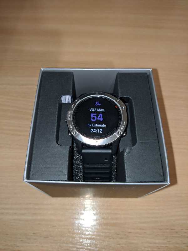 Garmin Fenix 6