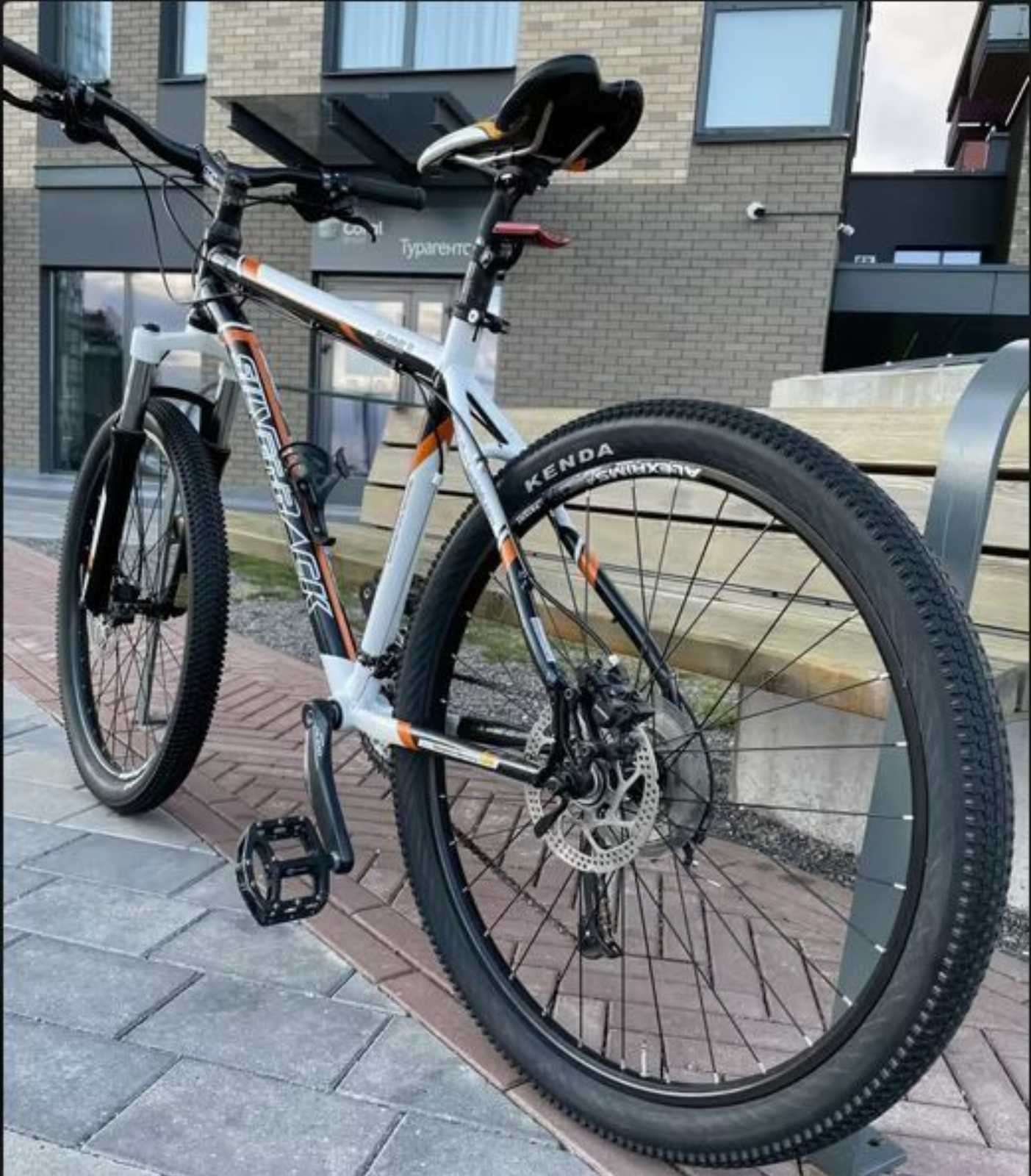 Silverback Alpine 2