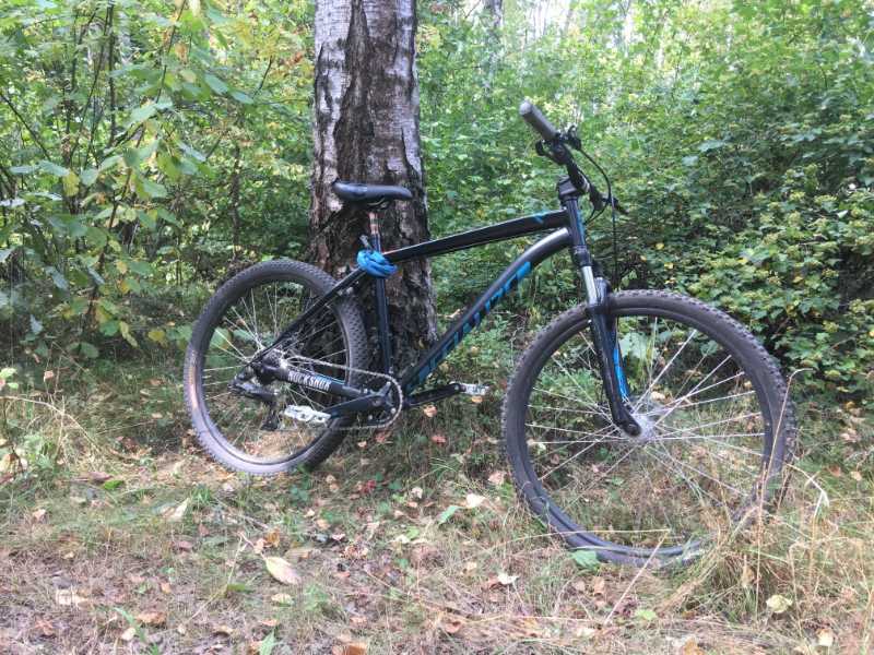 Specialized p street