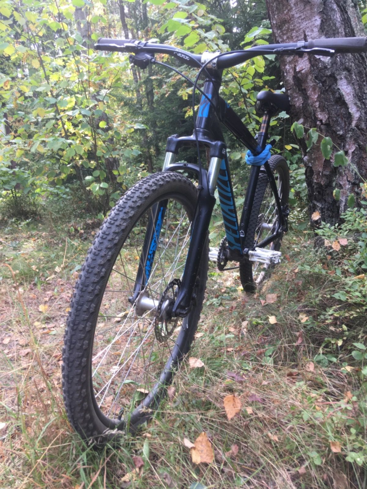 Specialized p street