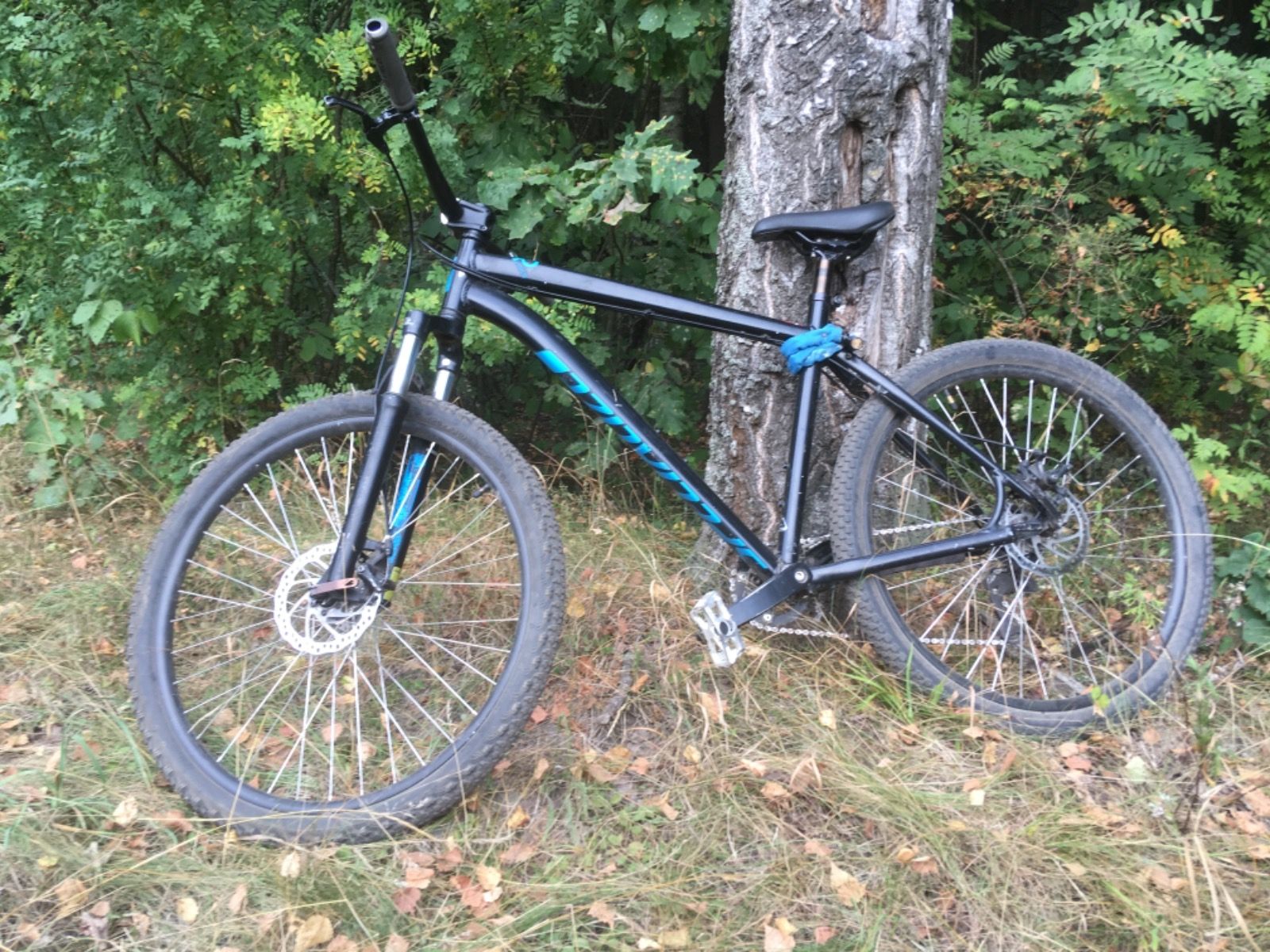 Specialized p street