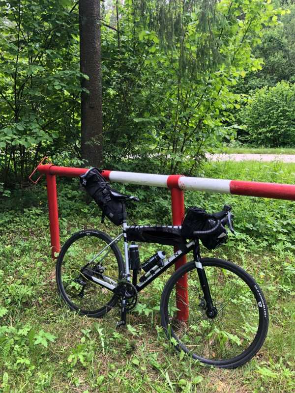 Marin gelstalt 2020