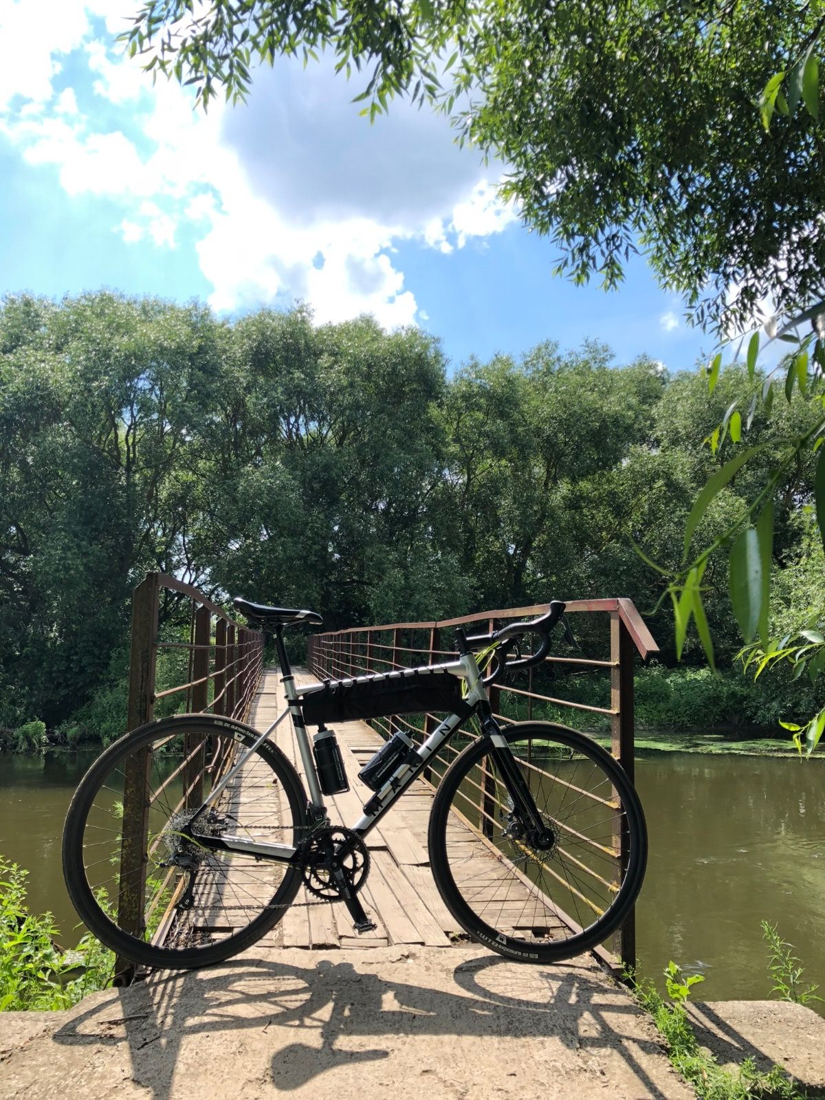 Marin gelstalt 2020