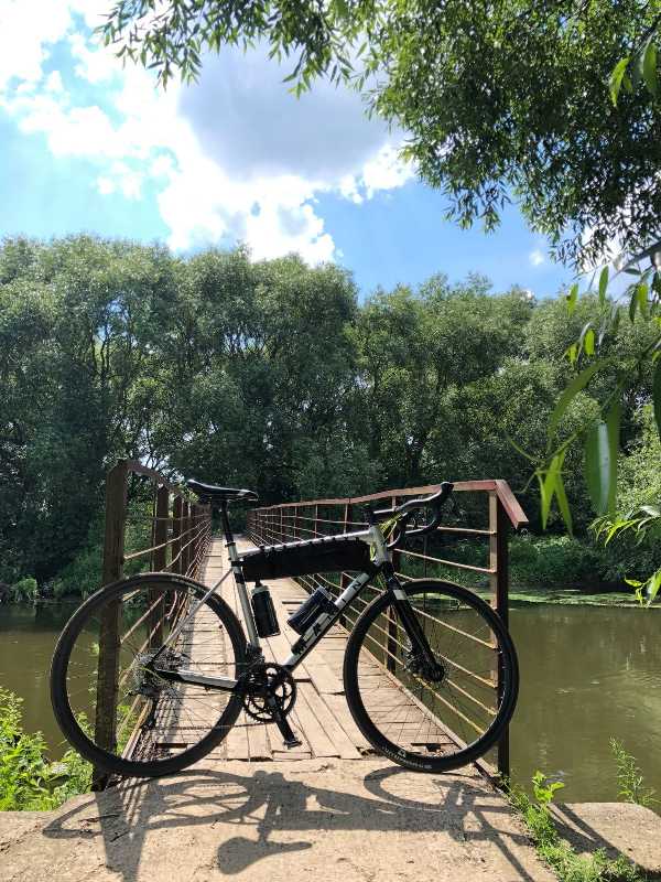 Marin gelstalt 2020