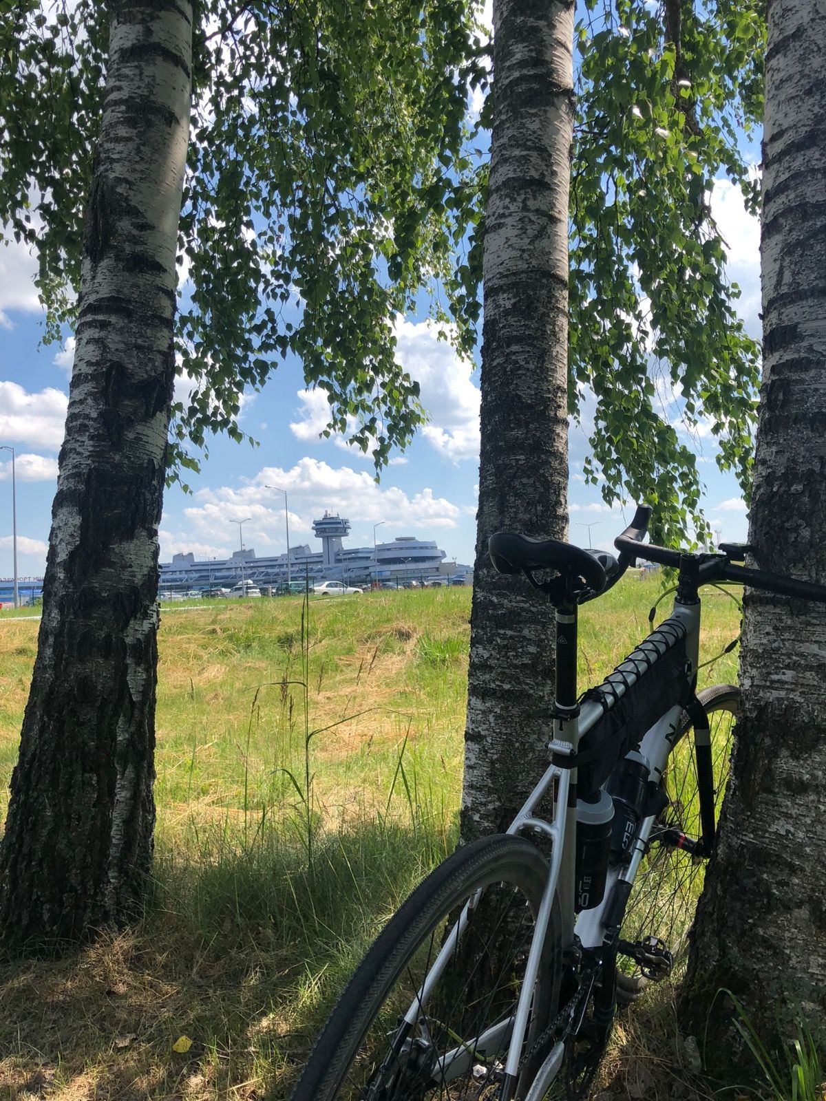 Marin gelstalt 2020