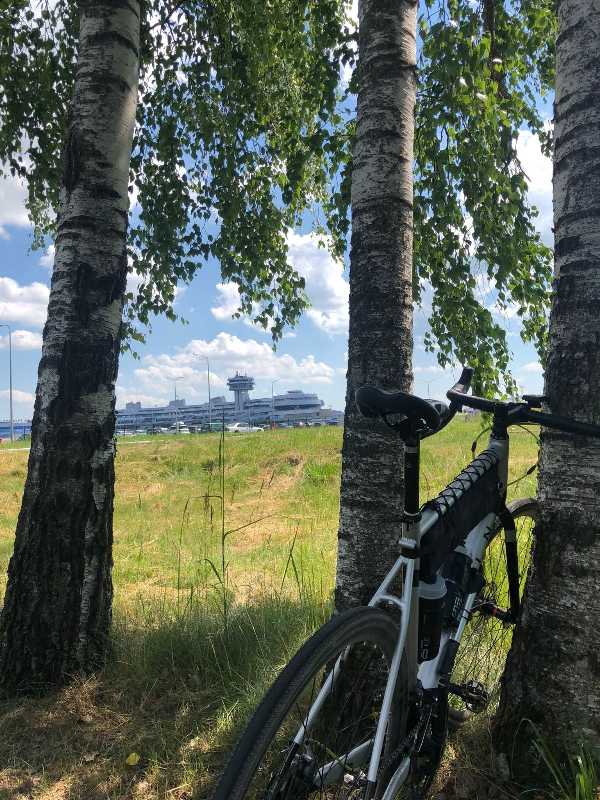 Marin gelstalt 2020