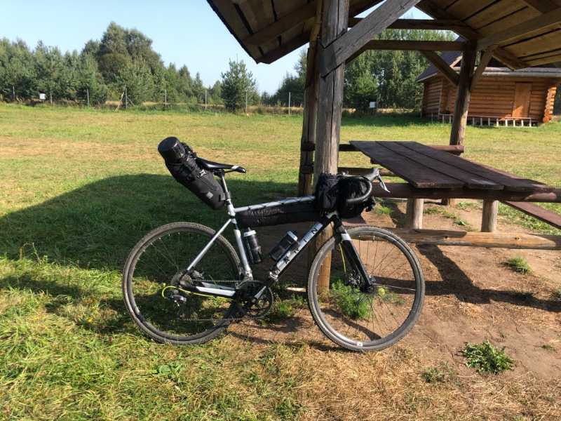 Marin gelstalt 2020