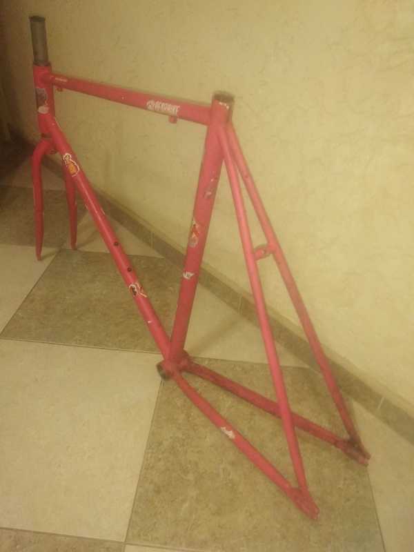 BearBike 58см