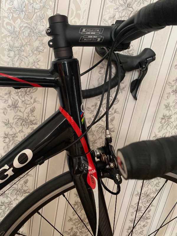 Colnago 550мм