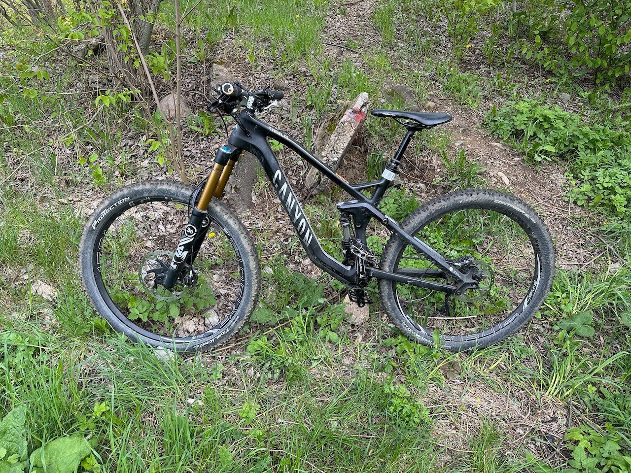 Canyon Strive CF 8.0 2015