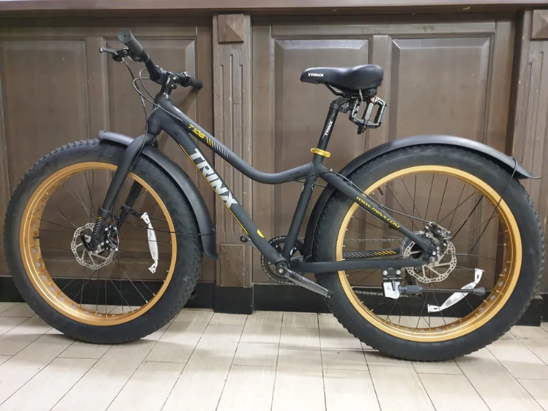 Щитки на  FatBike