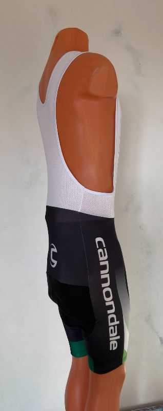 Велосипедные шорты Cannondale в идеале