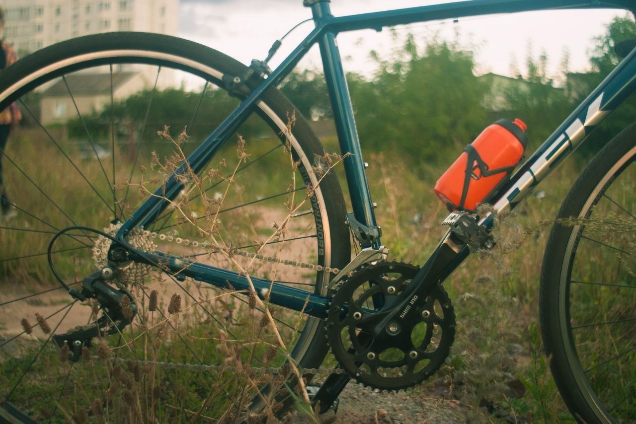 Trek Domane 2