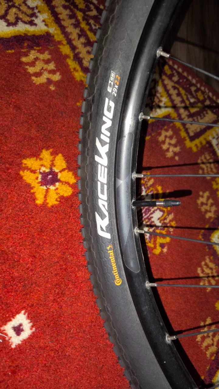Сontinental Race King 29x2.2 (55-622) жесткий корд