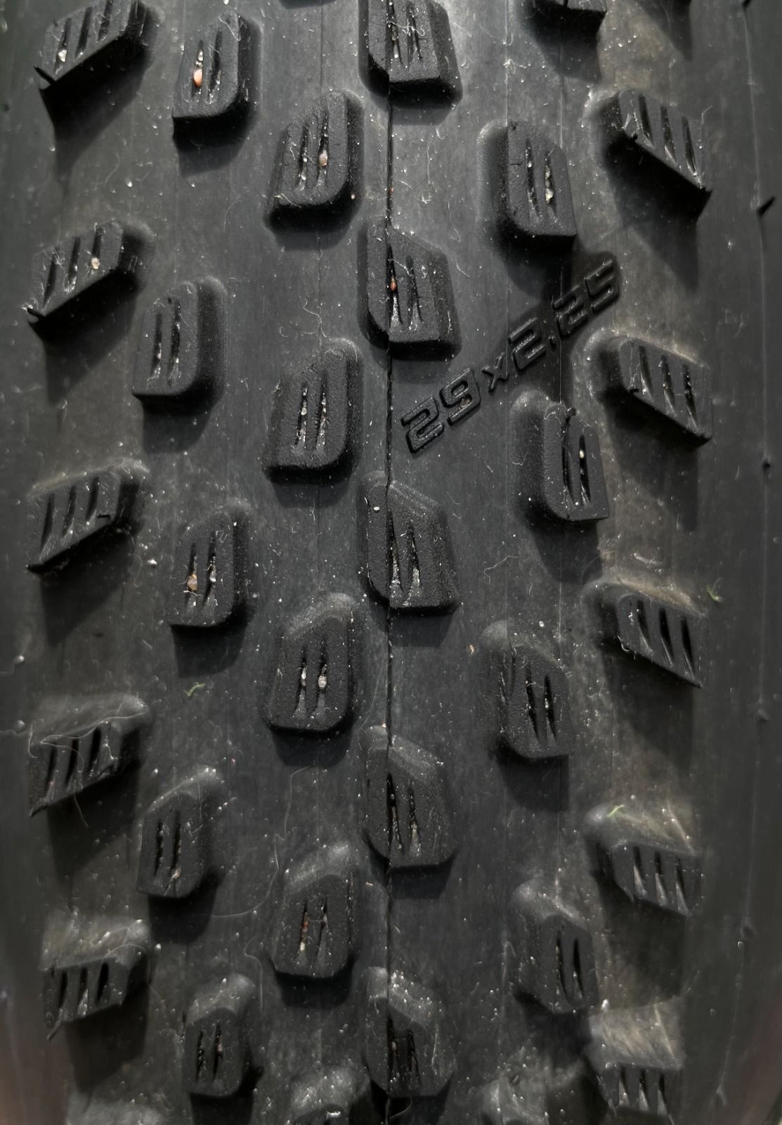 Schwalbe Racing Ray 29x2.25