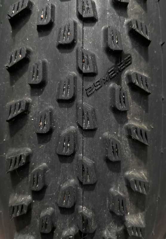 Schwalbe Racing Ray 29x2.25