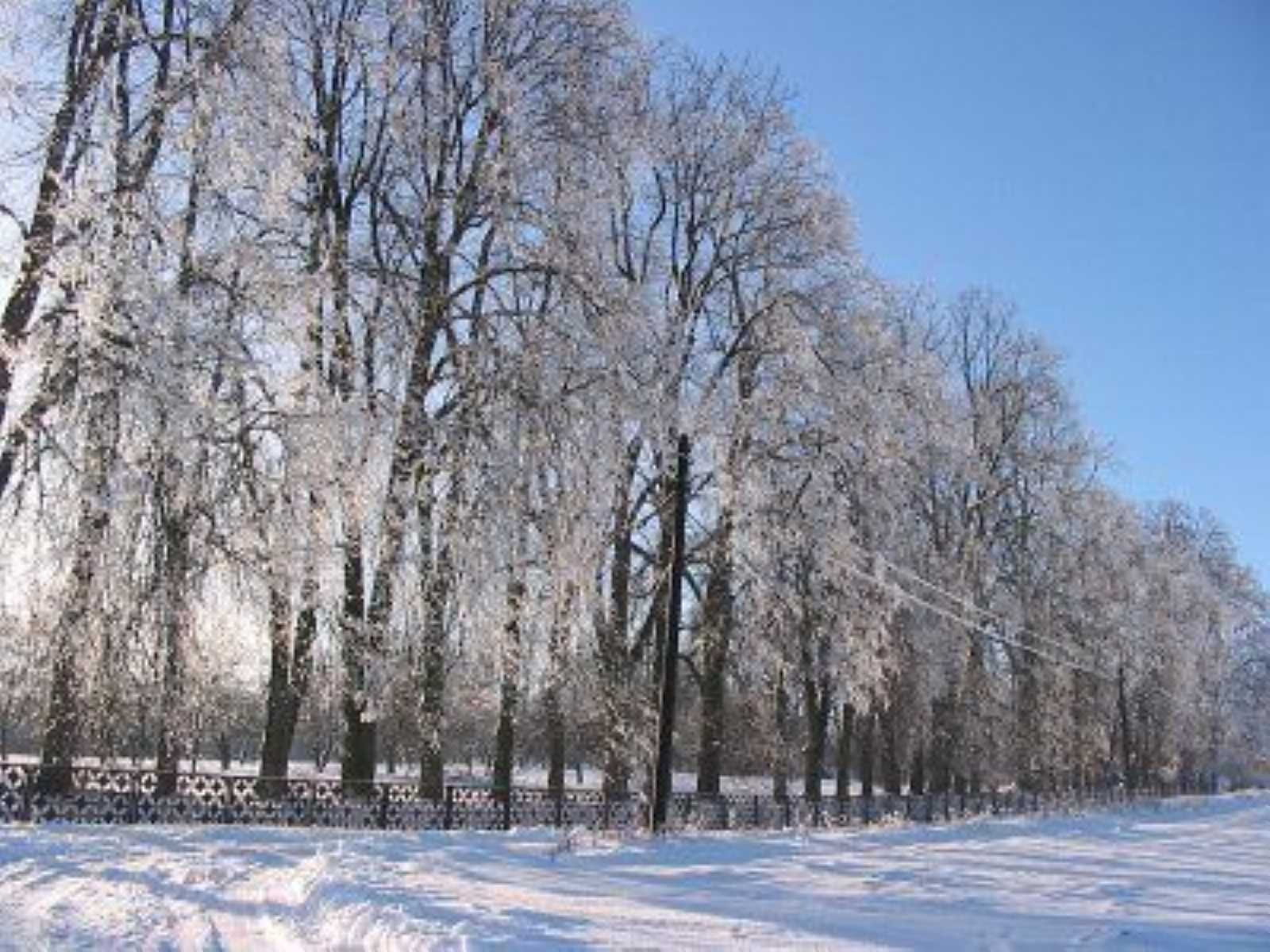 Парк (фрагменты) Парк (фрагменты)