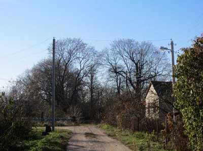 Парк (фрагменты)