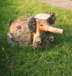 Фотозарисовки