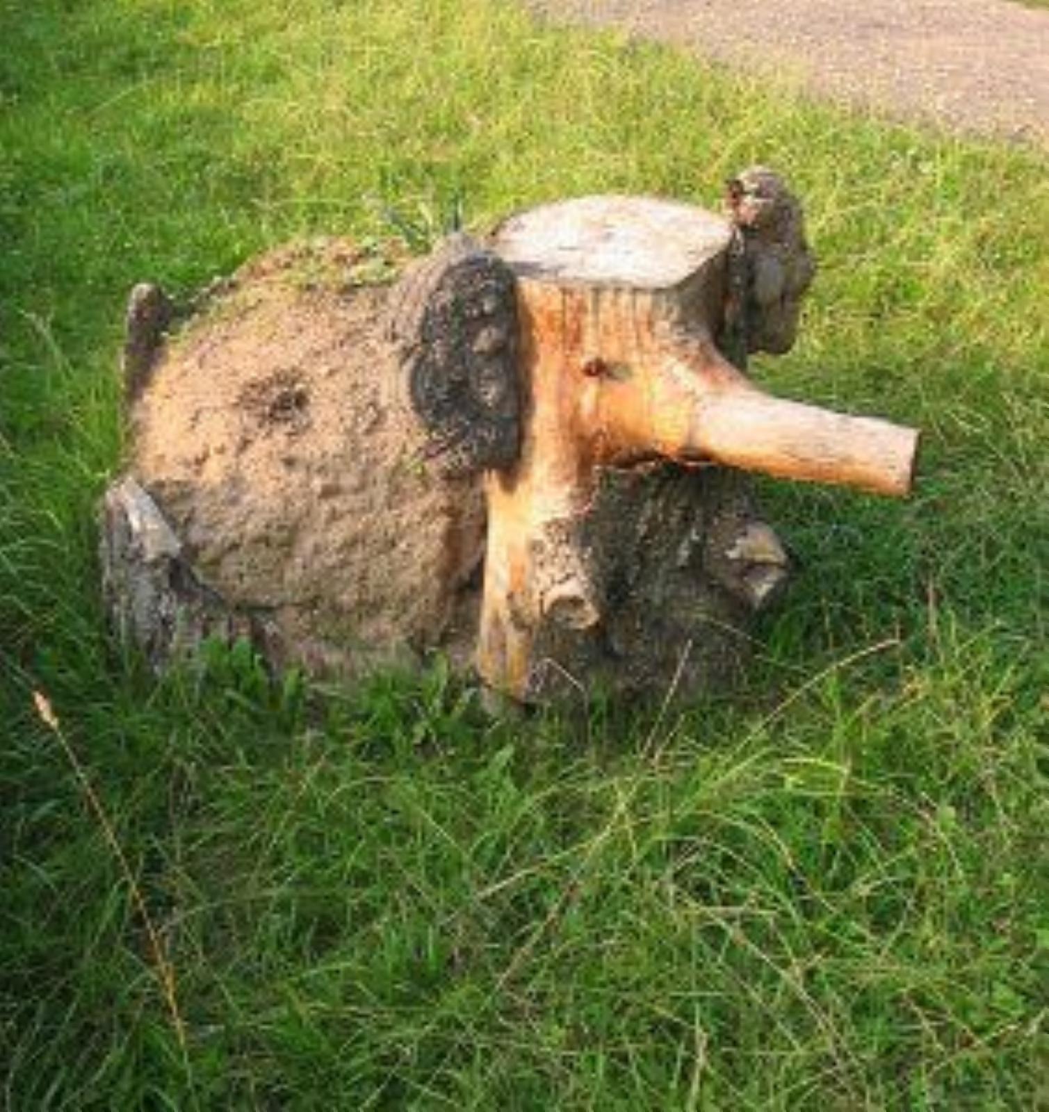 Фотозарисовки Фотозарисовки