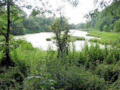 Парковый комплекс Альба