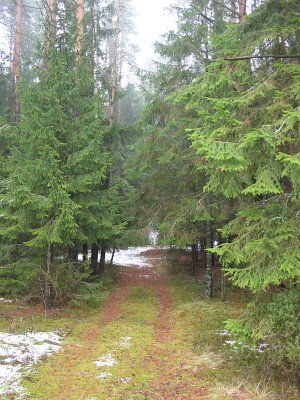 Фотозарисовки