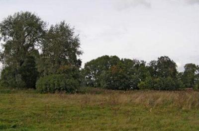 Парк (фрагменты)