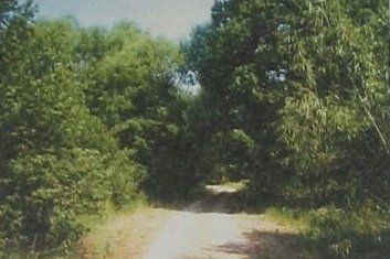 Парк (фрагменты)