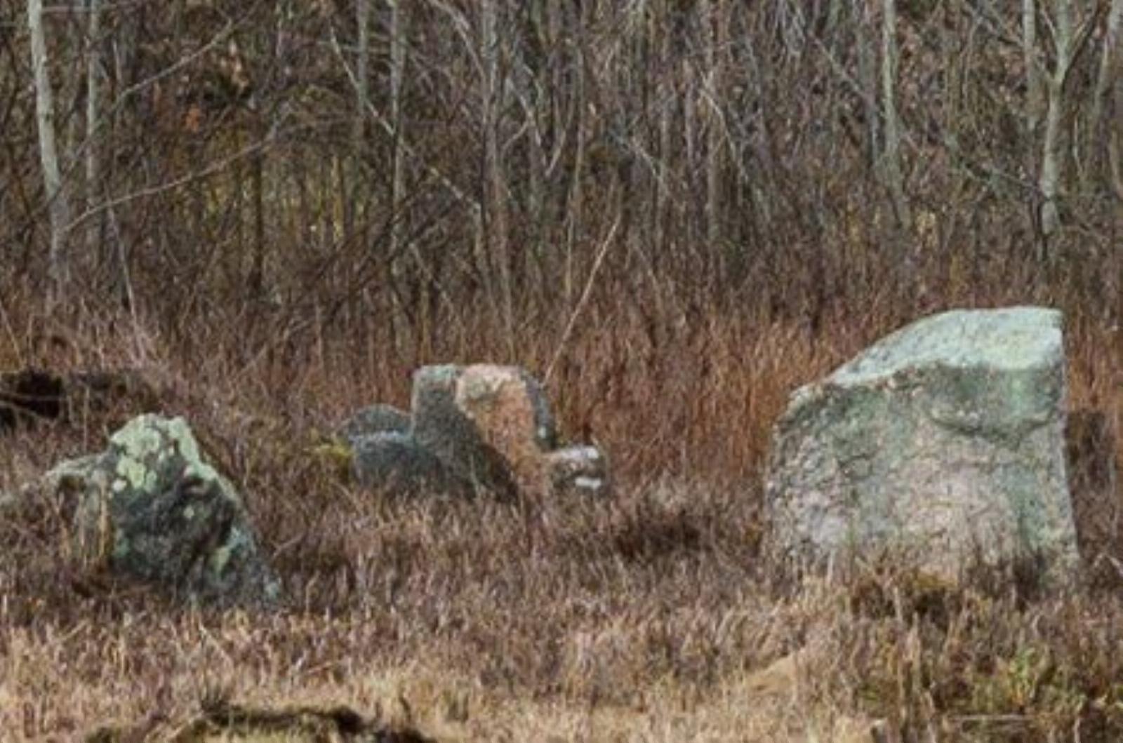 Каменный крест Каменный крест