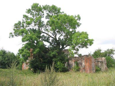 Спиртзавод? (руины)