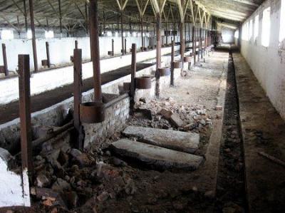 Пункт геодезической Дуги Струве Белин