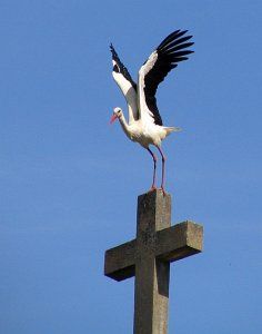 Фотозарисовки