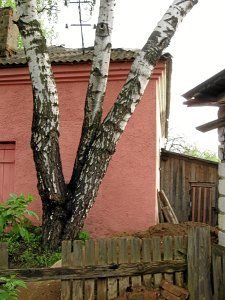 Синагога /сохр. частично/