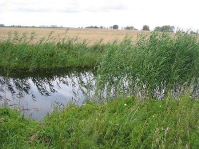 Фотозарисовки