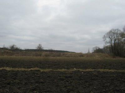 Земляные укрепления войны 1812 г. (Бешенковичский тет-де-пон)