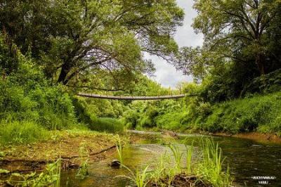 Мост подвесной (дерев.)