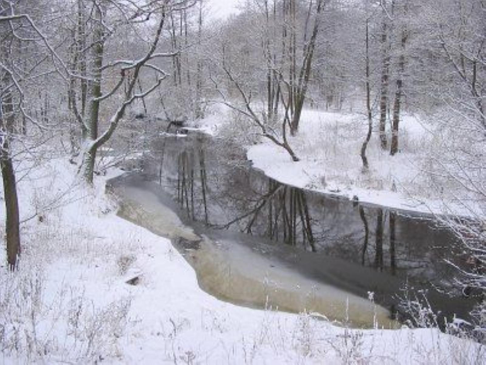 Фотозарисовки Фотозарисовки
