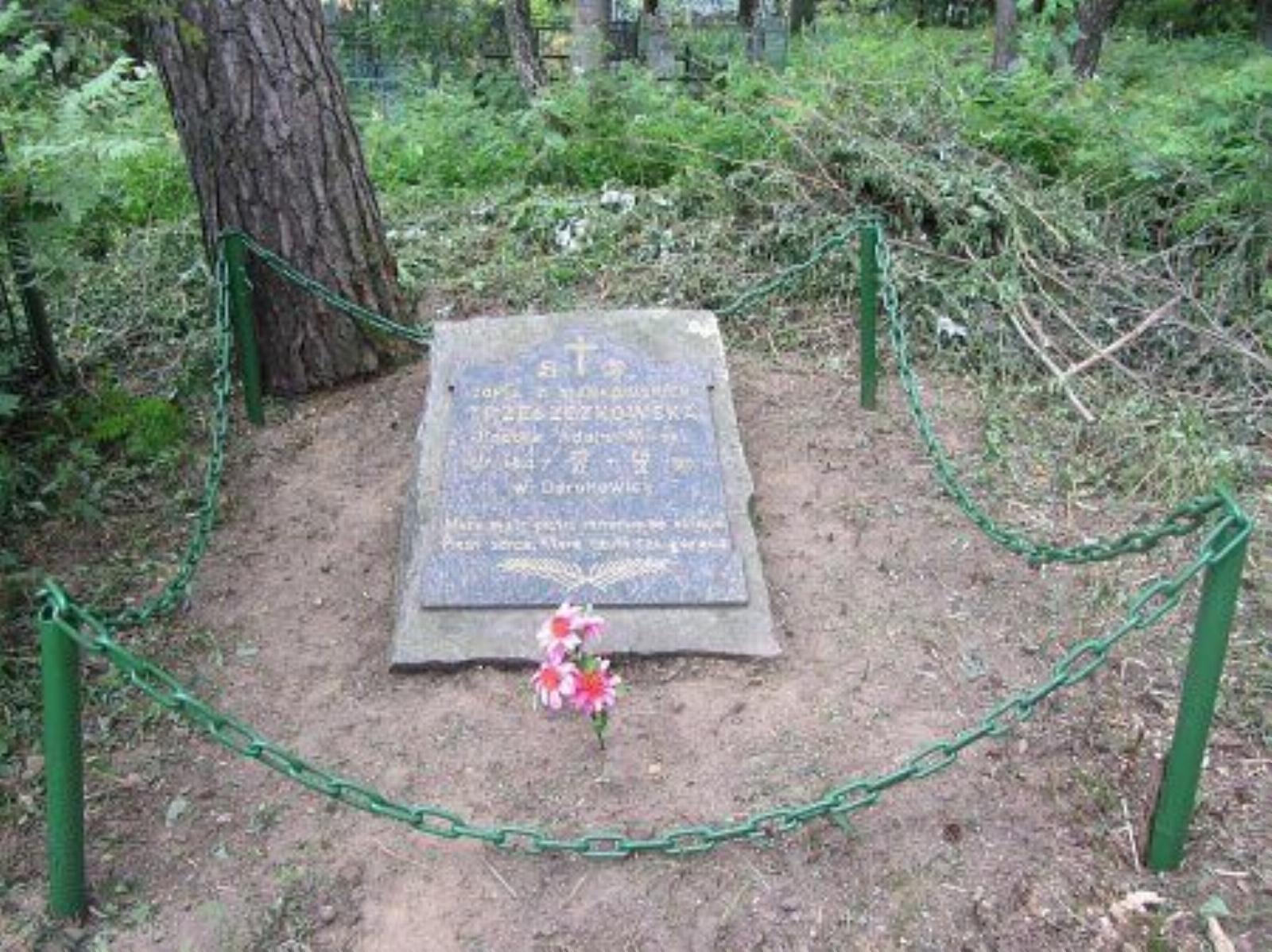 Могила поэтессы Софьи Тжешчковской Могила поэтессы Софьи Тжешчковской