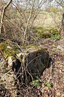 Памятник графу Барфусу /сохр. частично/