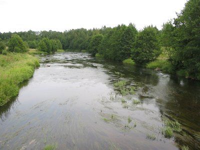 Река Ошмянка