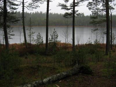 Озеро Видное