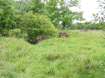 Место усадебного дома Снедецких