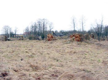 Спиртзавод (руины)