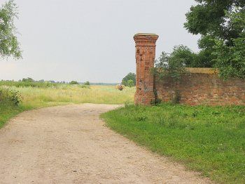 Брамы и ограда