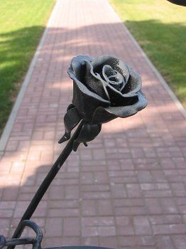 Фотозарисовки