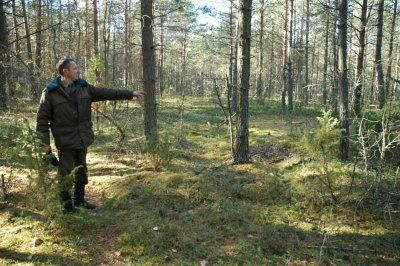 Кладбище русских солдат