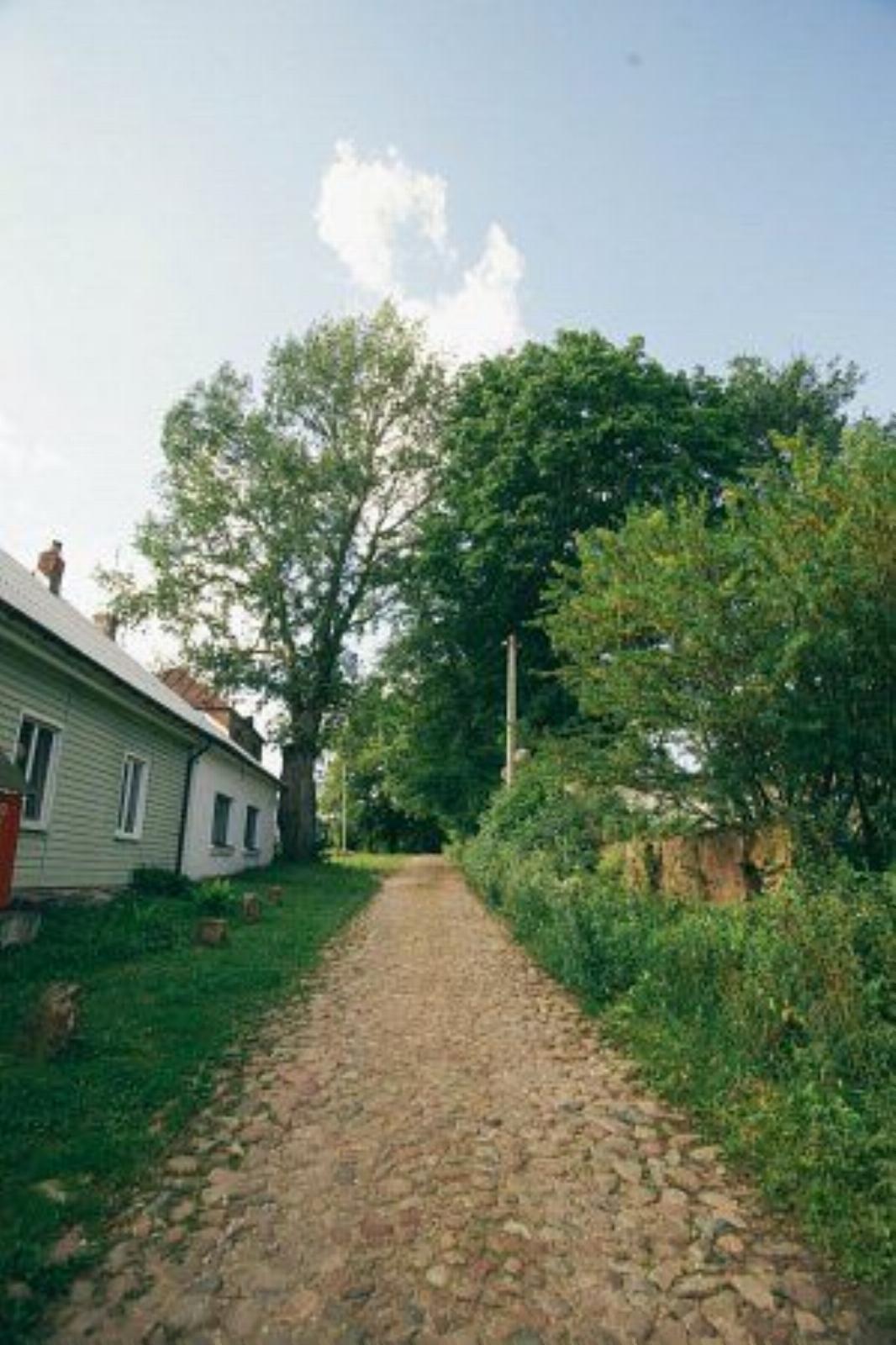 Парк (фрагменты) Парк (фрагменты)