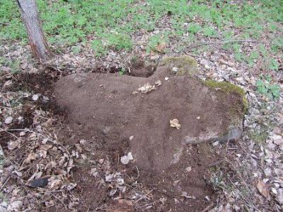 Каменные кресты