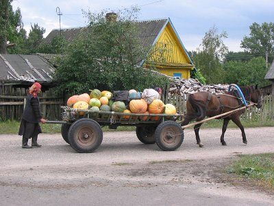 Фотозарисовки